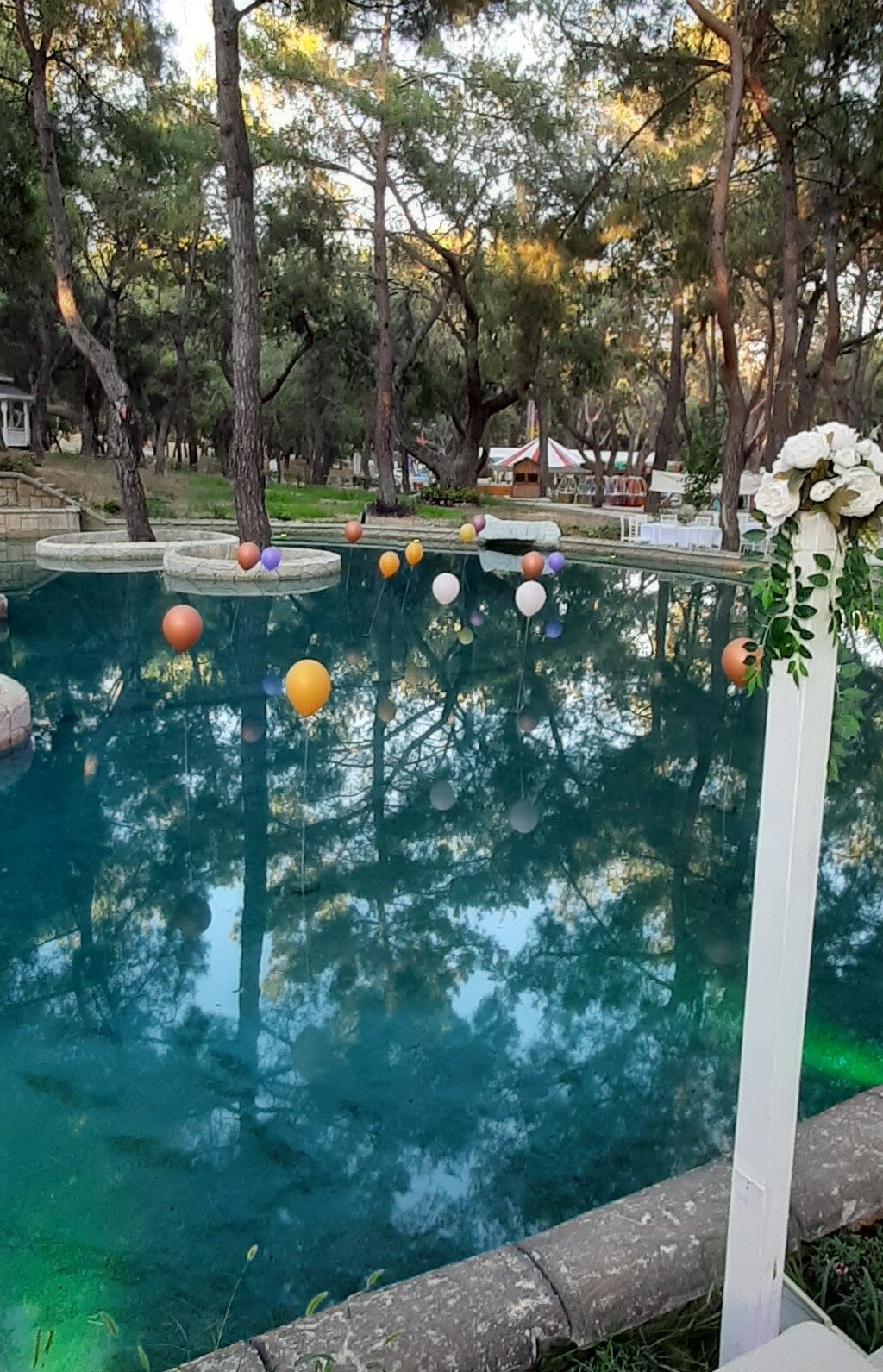 TALYA ORMAN KIR DÜĞÜNÜ - Fotoğraf 0